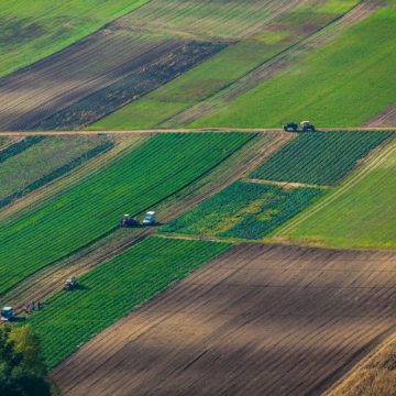 Законопроект про обіг сільгоспземель знаходиться на стадії доопрацювання та узгодження