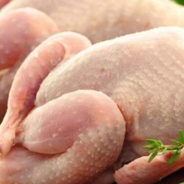 Україна і Сінгапур погодили ветсертифікат на експорт курятини і яєць