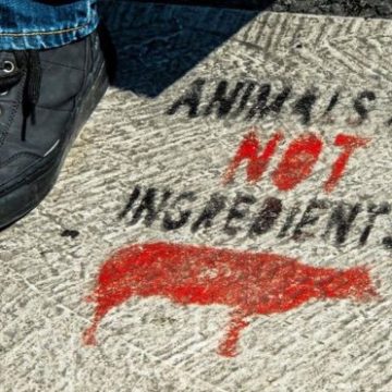 Антим’ясна акція PETA розлютила австралійців