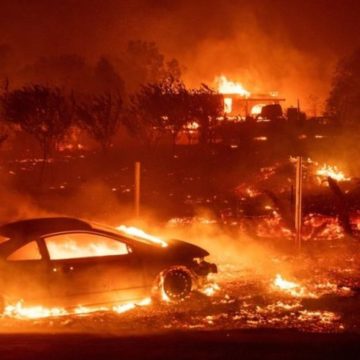 Винного в каліфорнійських лісових пожежах засудили на 12 років