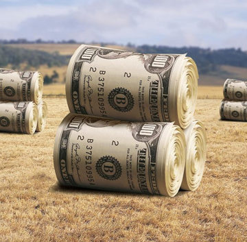 Порошенко підписав закон про продовження мораторію на продаж землі