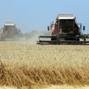 У поточному році 141 ОТГ отримає землю