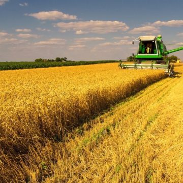 Мінсільгосп США підвищив прогноз врожаю зерна в Україні на 300 тис. тонн