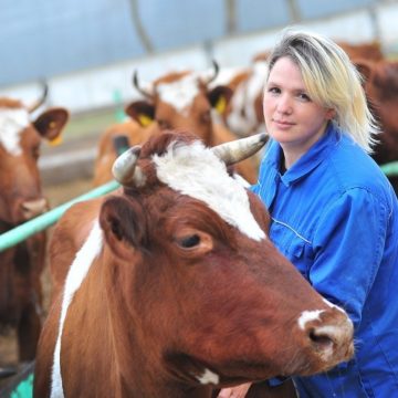 В Україні запустять проект з тестування якості сирого молока