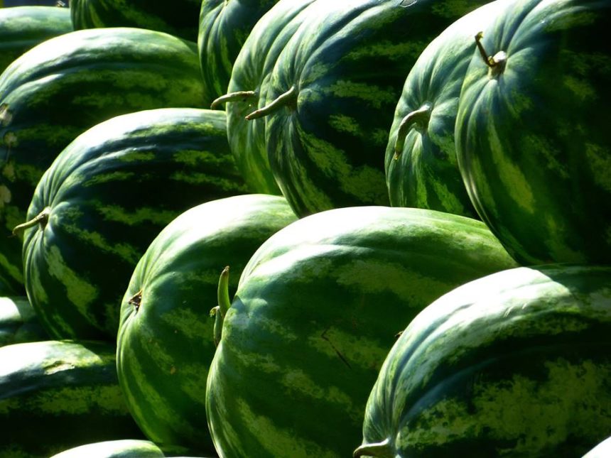 Херсонський кавун може стати продуктом із захищеним географічним зазначенням
