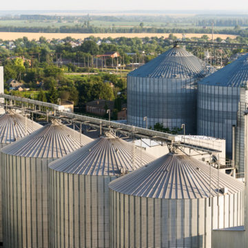 МХП продає частину круп’яного заводу під Києвом за $12 млн