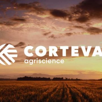 «Дочка» DowDuPont зайняла п’яту частину ринку насіння кукурудзи в Україні