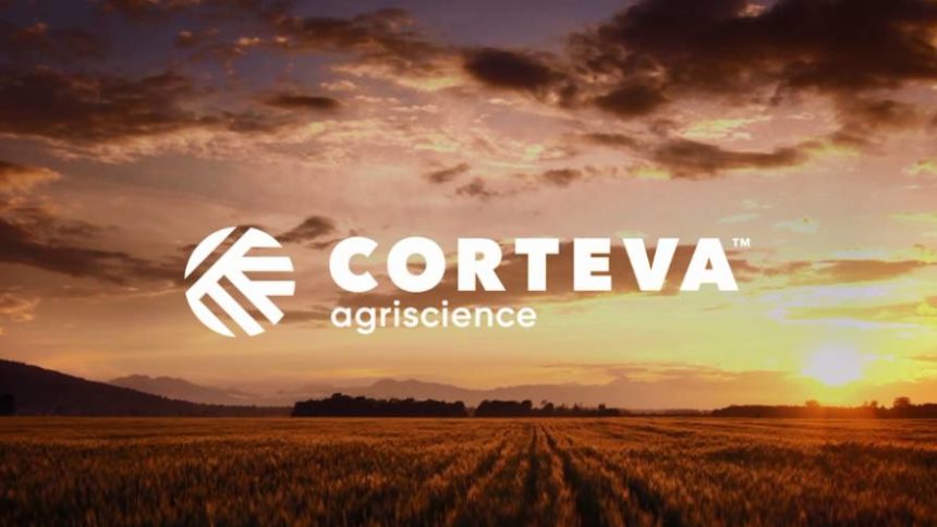 «Дочка» DowDuPont зайняла п’яту частину ринку насіння кукурудзи в Україні