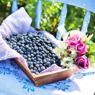 Органічне зростання: землі під «органікою» досягли 70 млн га по всьому світу