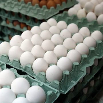Овостар інвестує до $17 млн ​​у виробництво