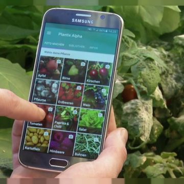 Microsoft протестує можливості штучного інтелекту на індійських аграріях