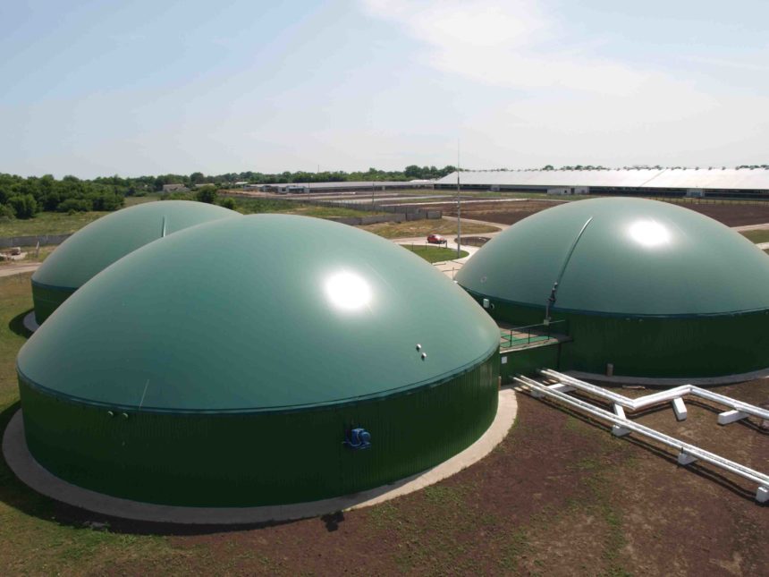 У Миколаївській області побудують біогазовий завод, який працює на буряковому жомі