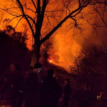 В Іспанії сталося більше сотні лісових пожеж