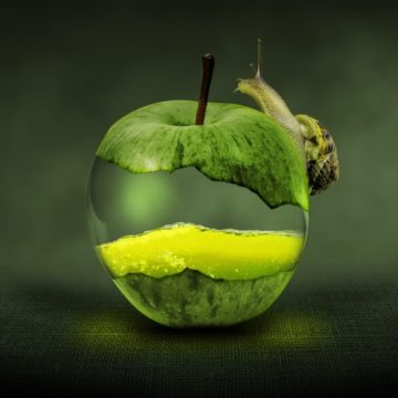 Не на тих натиснули: T.B. Fruit спростовує звинувачення у несплаті податків в Молдові