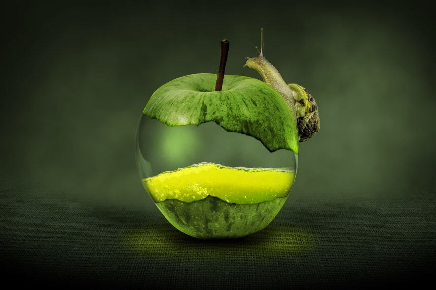 Не на тих натиснули: T.B. Fruit спростовує звинувачення у несплаті податків в Молдові