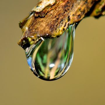 Онлайн-дозволи аграріям на користування водою: як це працює