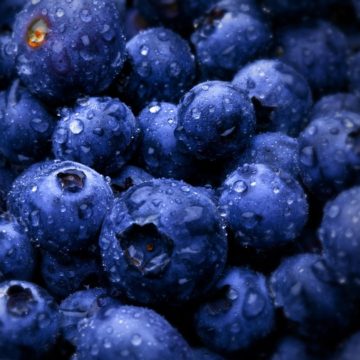 У поточному році Україна вперше експортує органічну лохину