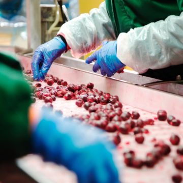 Барщовського звинувачують в несплаті податків — молдавські ЗМІ