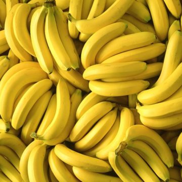 У Нідерландах зібрали перший в історії урожай бананів