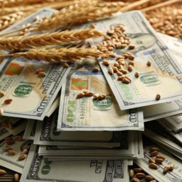 Зарплата в агросекторі зросла майже на 25%