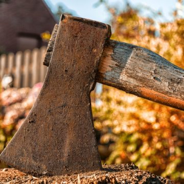 Потрібно посилити кримінальну відповідальність за незаконну вирубку лісу