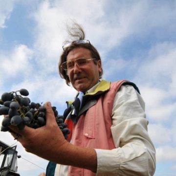 Виноградники французького винороба в Одеській області знову згоріли
